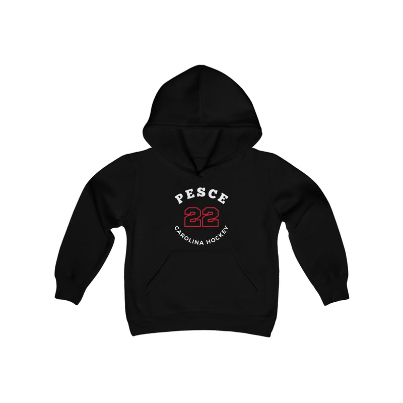 Pesce 22 Carolina Hockey Number Arch Design Youth Hooded Sweatshirt