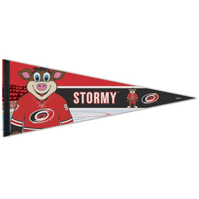 Carolina Hurricanes Stormy Premium Pennant, 12x30"