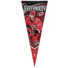 Carolina Hurricanes Andrei Svechnikov Premium Vertical Pennant