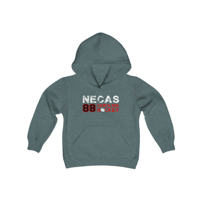 Necas 88 Carolina Hockey Youth Hooded Sweatshirt