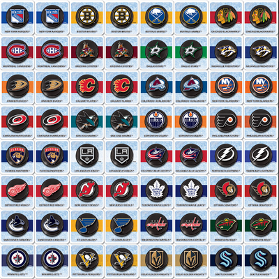 NHL All Teams Matching Board Game